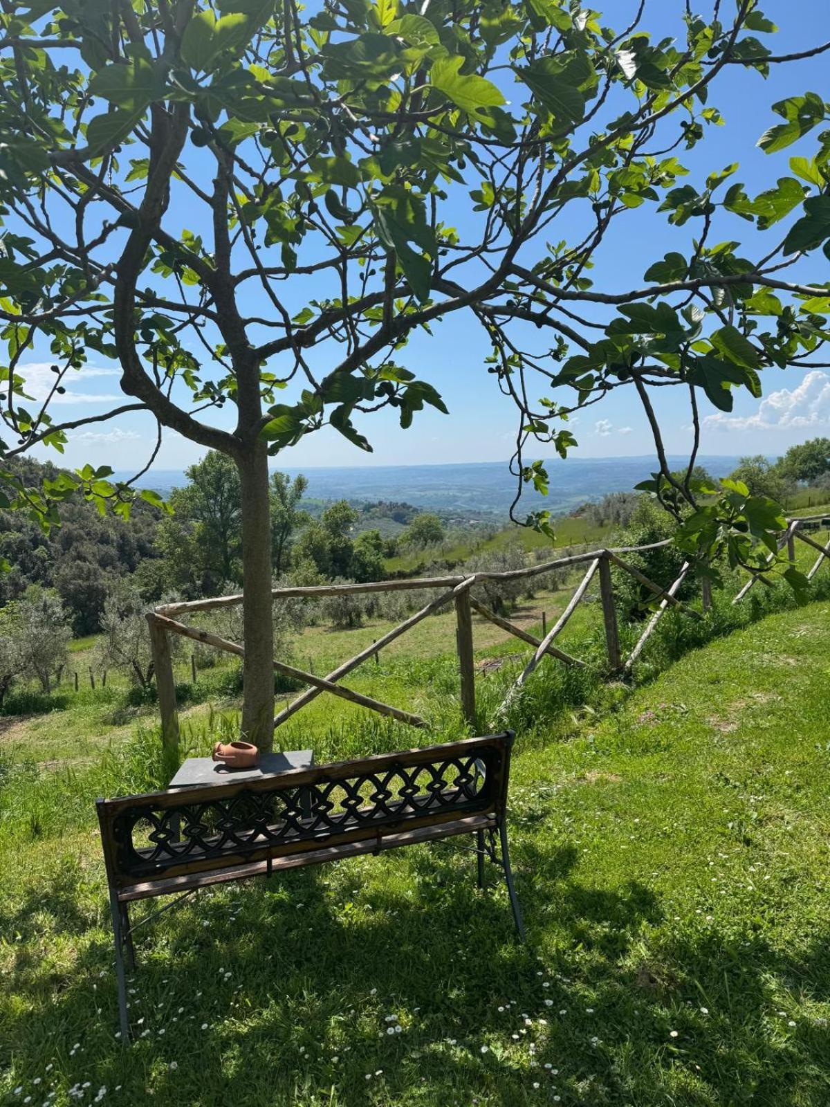 Casa Franceschini Villa Poggio Mirteto Kültér fotó